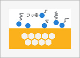 フッ素が歯の表面に吸着