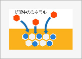 初期虫歯部分へ、フッ素やだ液中のミネラルが取り込まれ、フッ素は再石灰化を促進